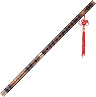 Tomshin Flauta de bambu amargo plugável Dizi Instrumento musical de sopro chinês tradicional feito à mão Chave de G Nível de estudo Desempenho profissional