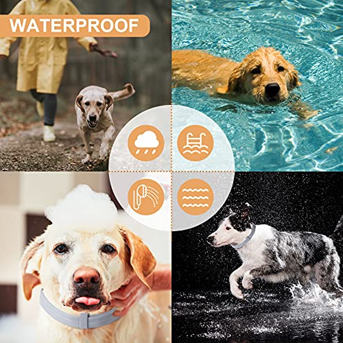 2 Pack Flea and Tick Prevention for Dogs Purple, Prevention, Treatment of Flea & Tick for 8 Months, Natural Ingredients Dog Flea Collars, Waterproof, Free Comb, 25 inches - Image 6