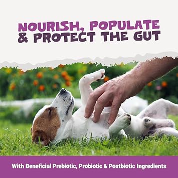 Pets Purest Digestive Pre, Post & Probiotic Chews for Dogs. Natural Dog Treats with Prebiotics for Dogs - Pumpkin, Inulin & Chicory. 200g Cold Pressed Gut Health Chews