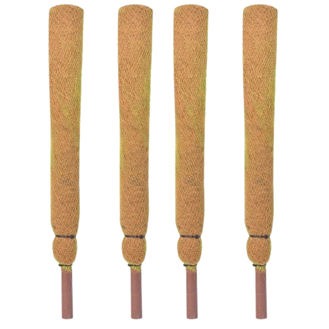 3 Ft (90 cm) [Set of 4] Coco Coir Stick Pole Moss Stick for Climbing Money Plant, Indoor and Outdoor Plants, Housing Plants Support,Climbers (B0B9BYDP7L) Amazon Price History, Amazon Price Tracker