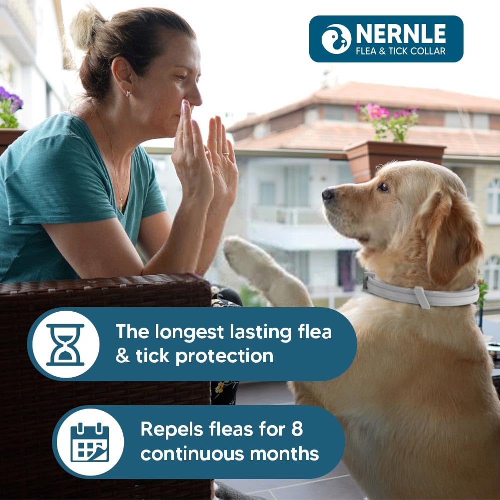Collare per Cani Oltre 8 KG, Regolabile Collare Cane, Protezione 8 Mesi per Grande Cani, Collare per cani impermeabile 2 Pack