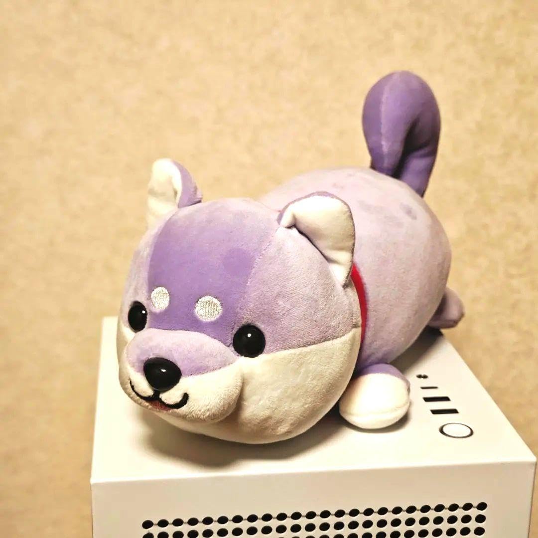 ♡まめしば♡ Mameshibatei, a channel specializing in Mame-Shiba - YouTube