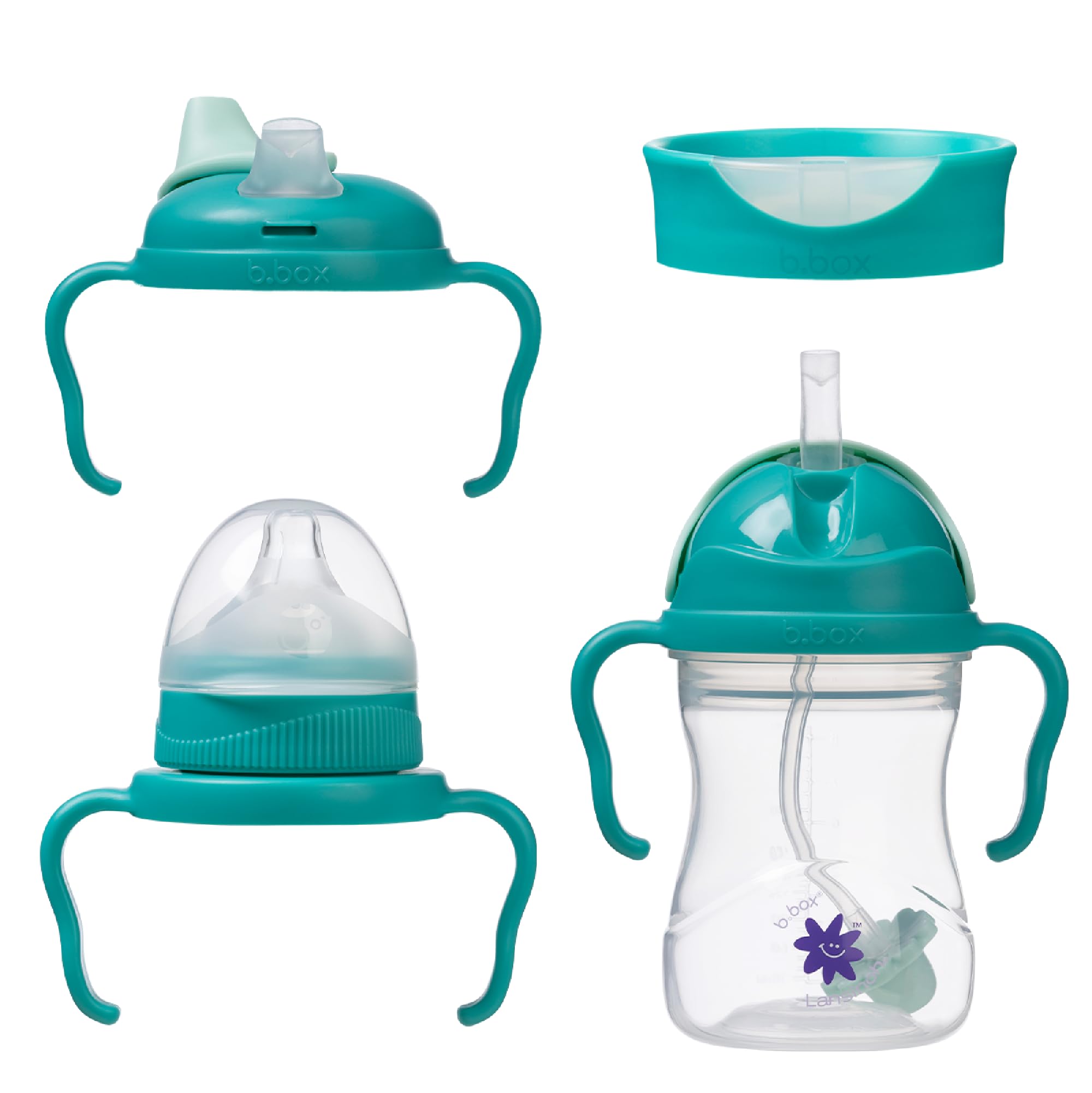 Amazon.com : b.box + Lansinoh Time to Sip Starter Cup Set (3m+ to