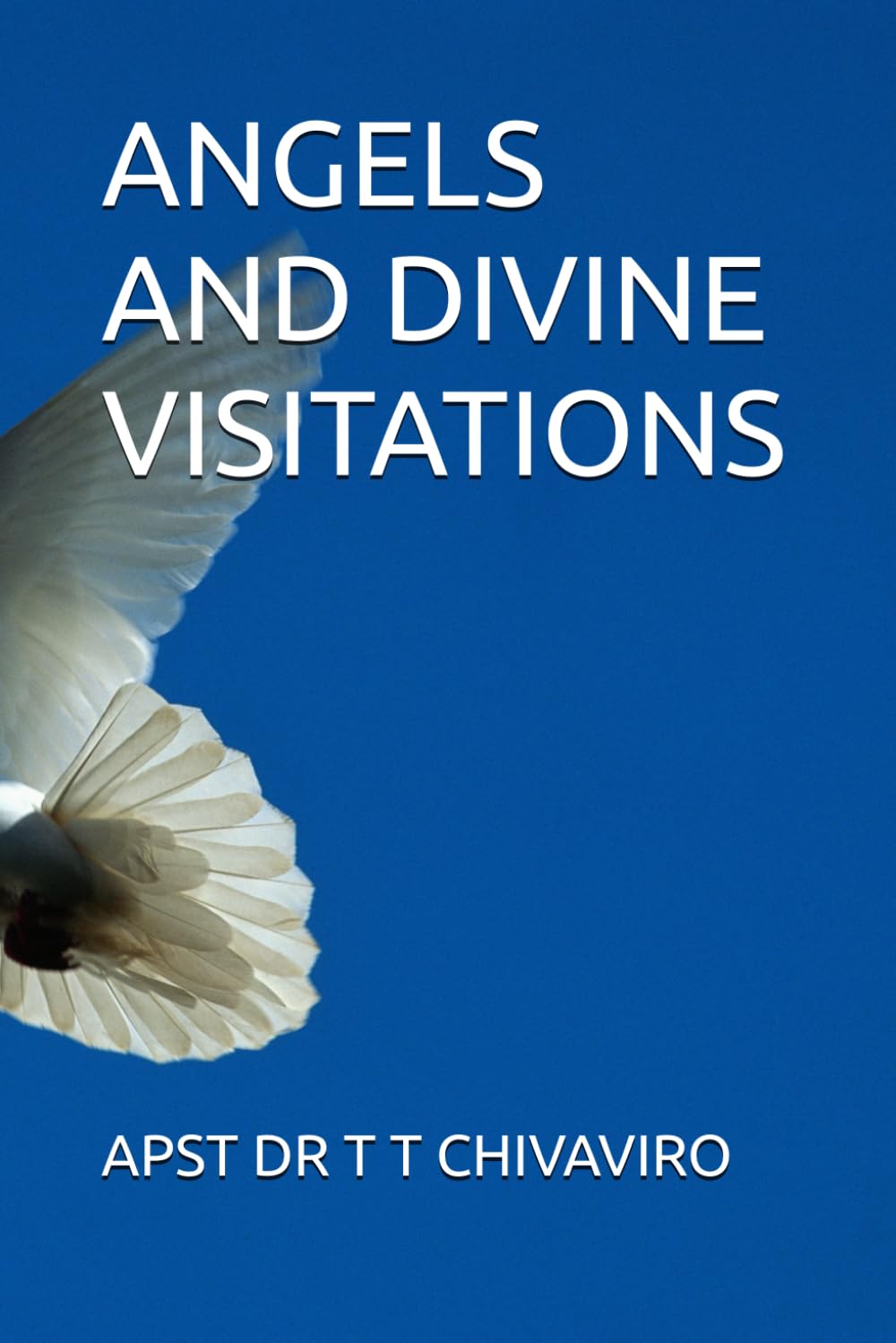 ANGELS AND DIVINE VISITATIONS