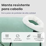 Ver la foto 4
