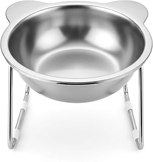 Elevated Tilted Stainless Steel Bowl