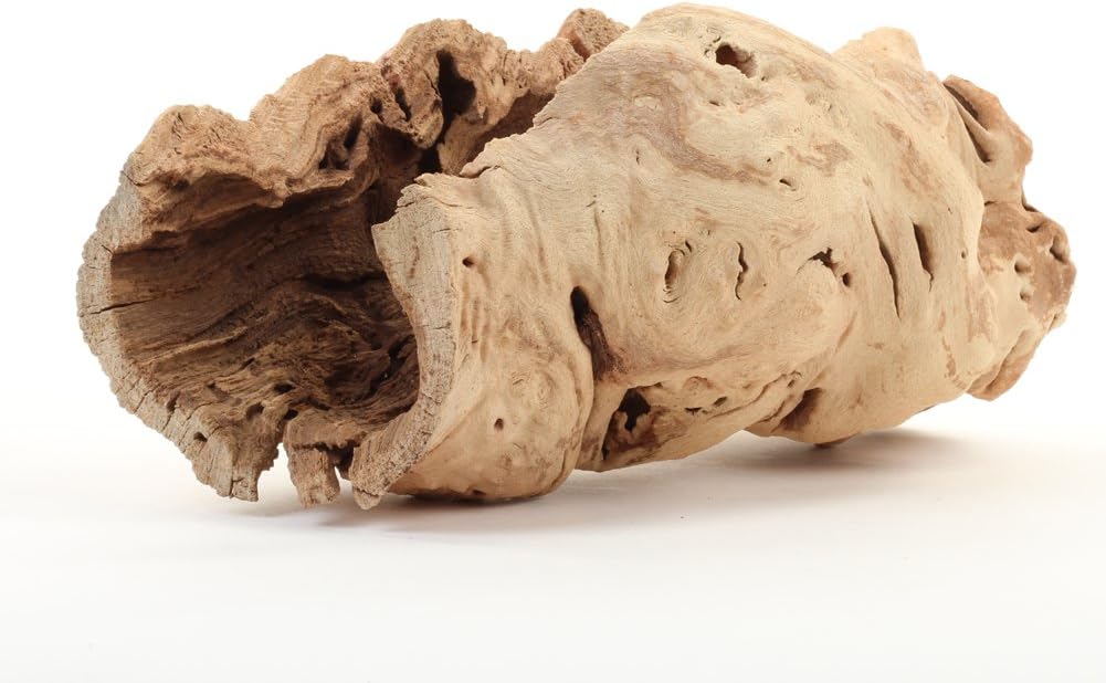 Koyal Wholesale 10" Hollow Grapewood Branch Decor 1Pcs Grapewood Centerpiece Vase Air Plants Sand Blasted Grapevine Wood Untreated Terrarium Wood Driftwood Decor