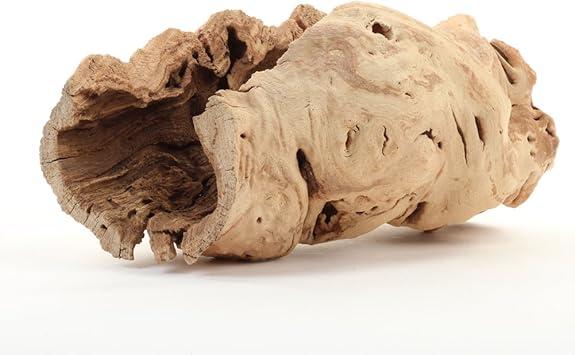 Koyal Wholesale 10" Hollow Grapewood Branch Decor 1Pcs Grapewood Centerpiece Vase Air Plants Sand Blasted Grapevine Wood Untreated Terrarium Wood Driftwood Decor