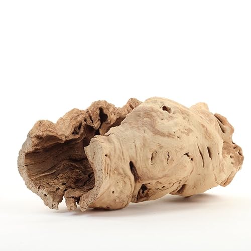 Koyal Wholesale 10" Hollow Grapewood Branch Decor 1Pcs Grapewood Centerpiece