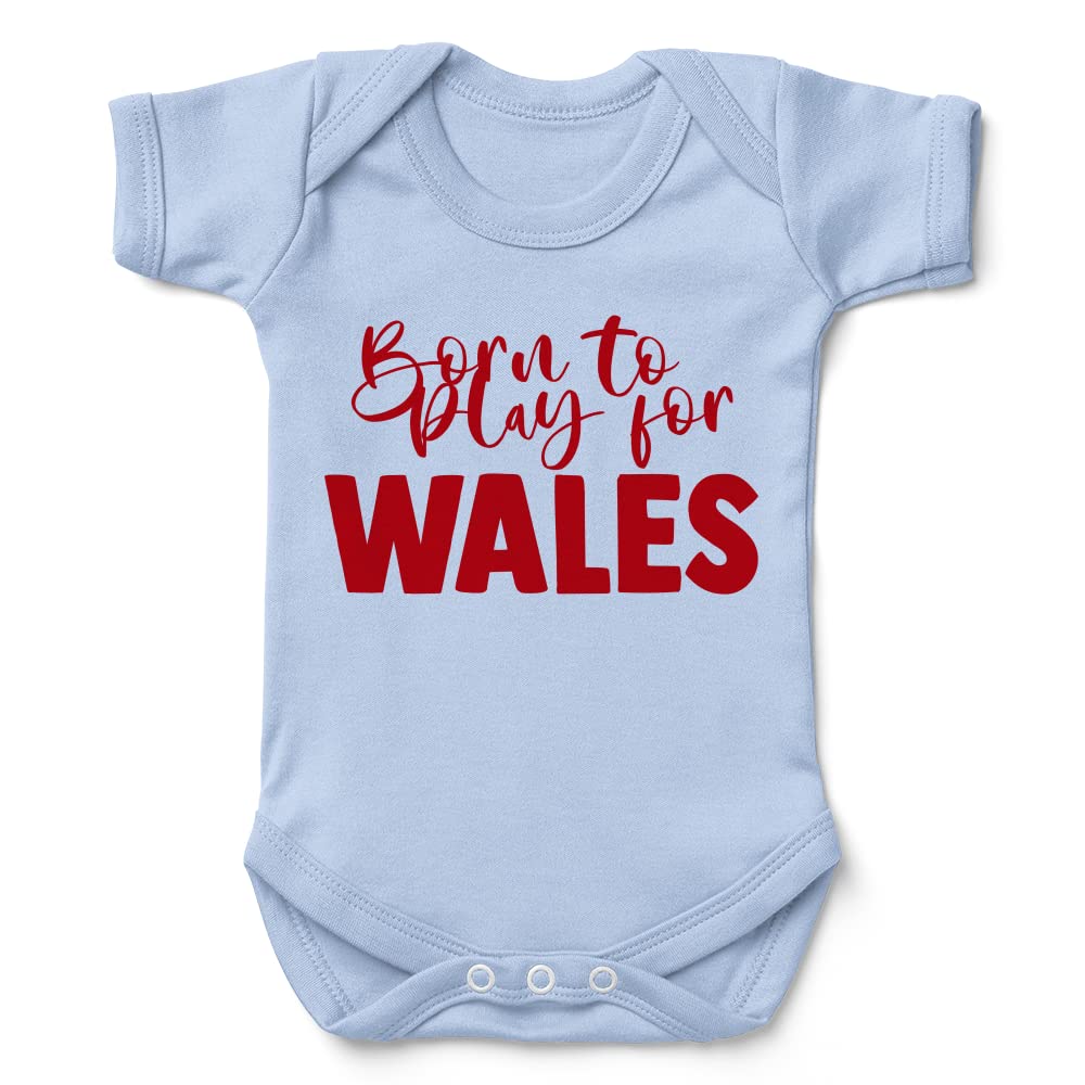 Kickass Tees Born to Play Wales Babygrow Rugby Football New Baby Gift Funny Light Blue