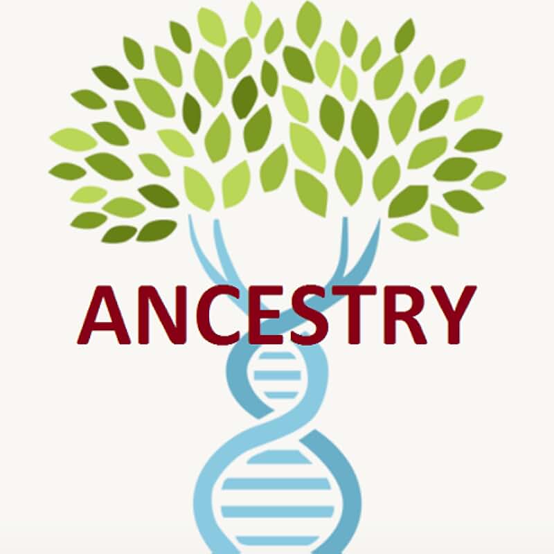 Amazon.co.uk Ancestry