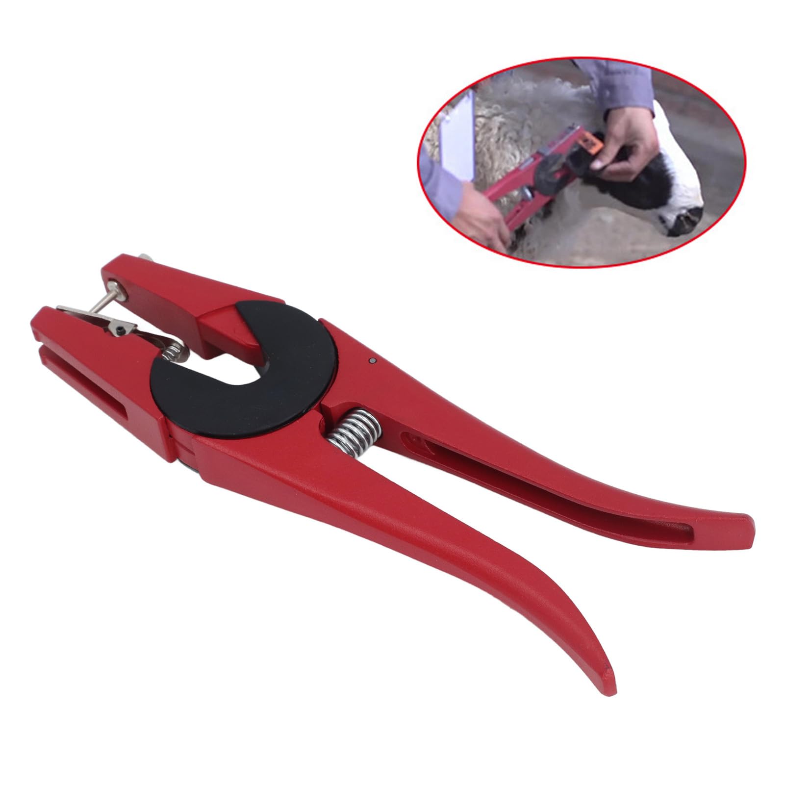 Kunststoff Vieh Ohrmarke, 1-100 Nummer, Sheep Ear Tag, mit Einteilige Ohr Tag Zange, 100 Stück, Grün, für Schafe, Tiere, Bauernhof, Ziegen, Rinder, Kuh, Schwein, Pferd