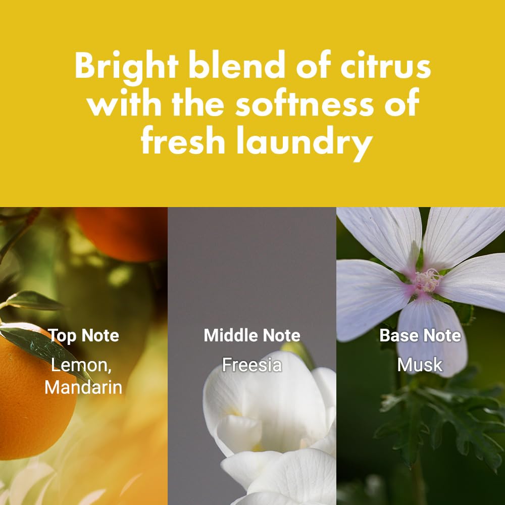 DETANGLING PERFUME HAIR MIST 01 (LEMON-FREESIA-MUSK)