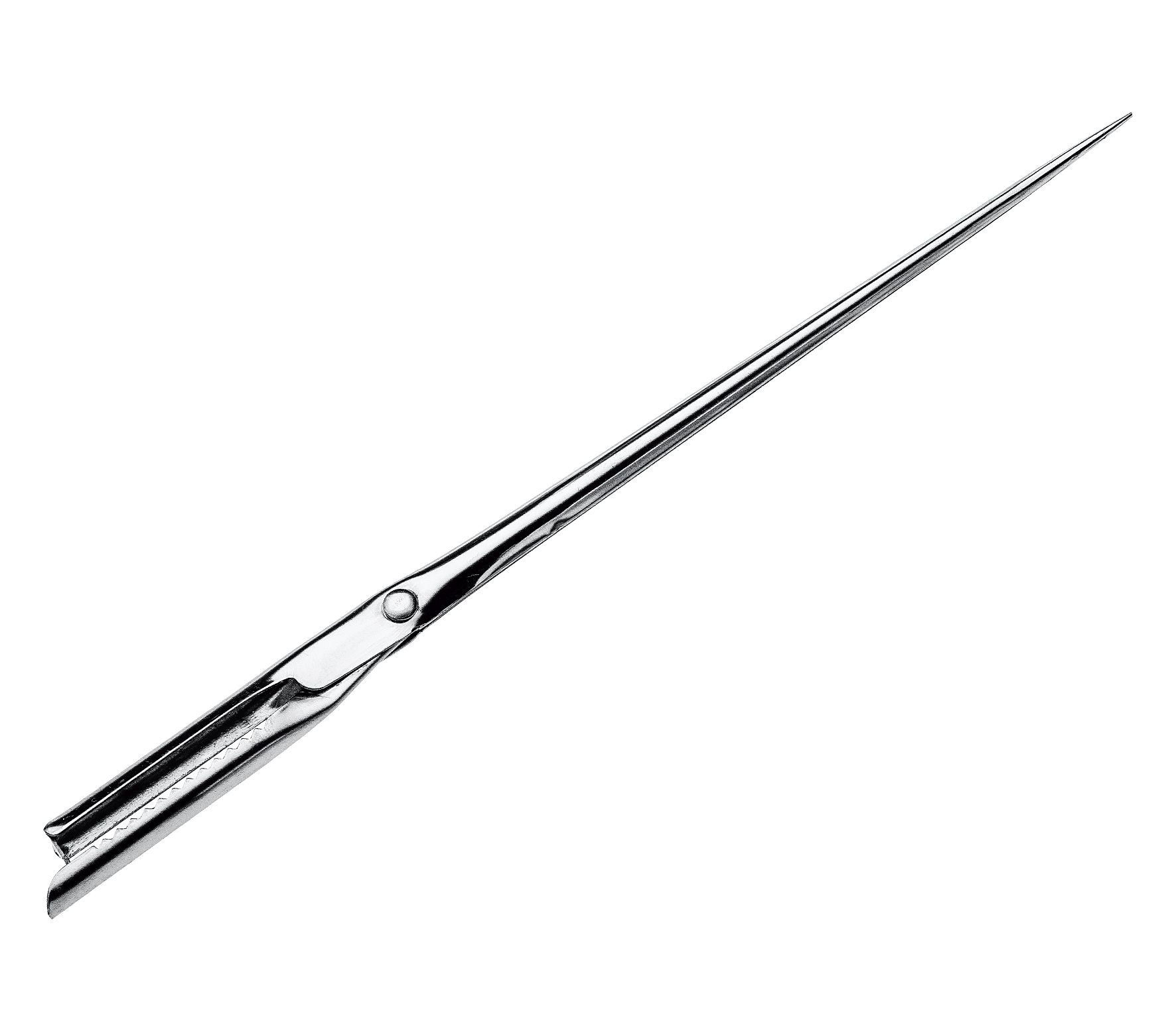 Küchenprofi 0924052800 Larding Needle, Stainless Steel