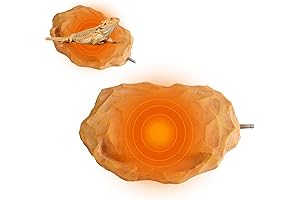 Reptile Heating Rock: Essential Heat Source for Reptile Health