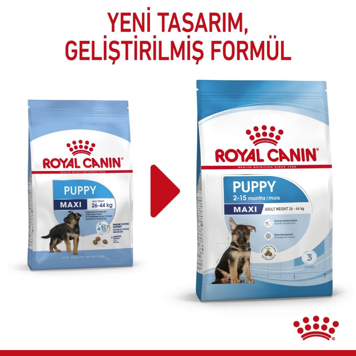 Royal Canin Alimento Cane Maxi Junior - 15000 gr