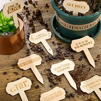 24 Pieces Funny Plant Markers Wooden Plants Labels T-Type Garden Labels Wooden Plant Markers for Vegetable Flowers Garden Potted Plants
