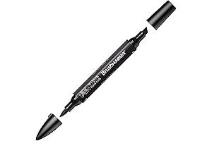 Winsor & Newton Promarker Brush for Exceptional Artists