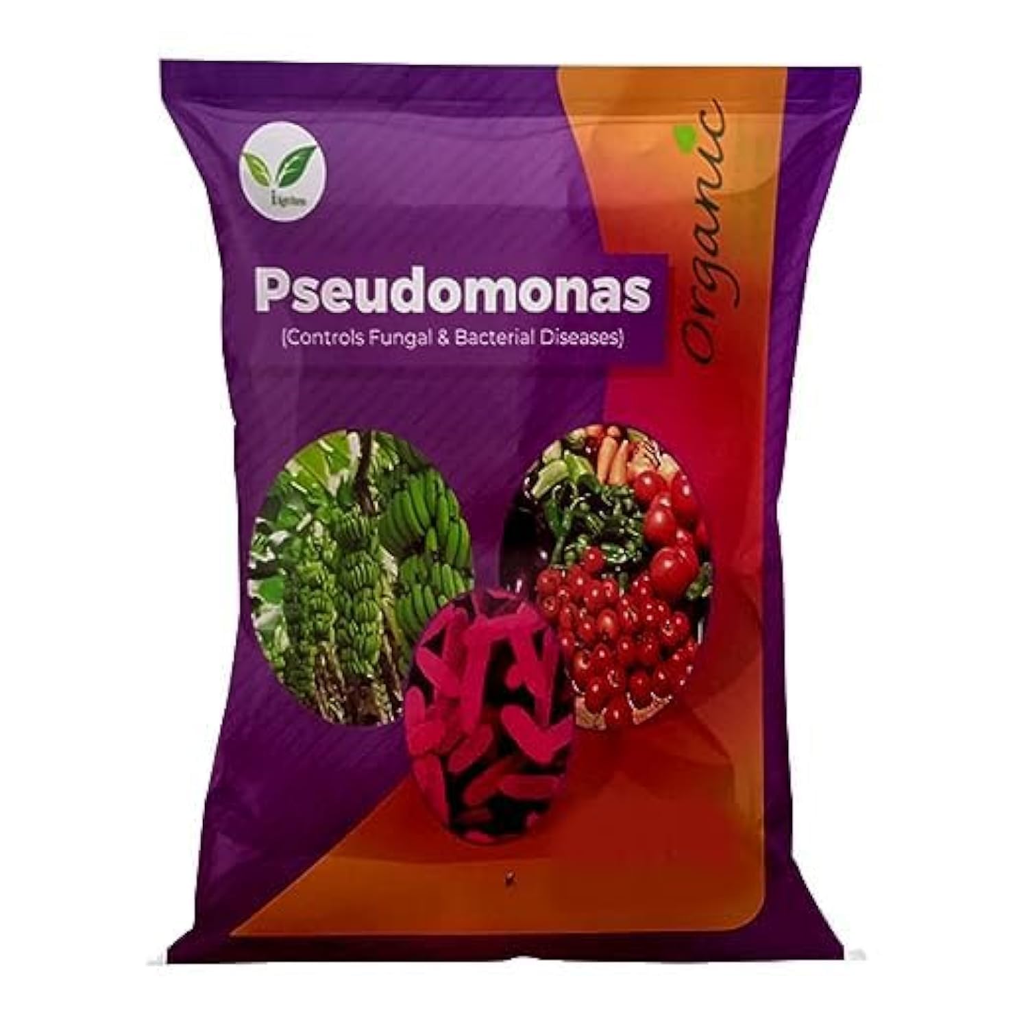 Pseudomonas Fluorescens Powder - 500 gram with 2x10^8 CFU/g / for Preventing Fungal Diseases & Root / Stem Rot, Wilt in All Plants