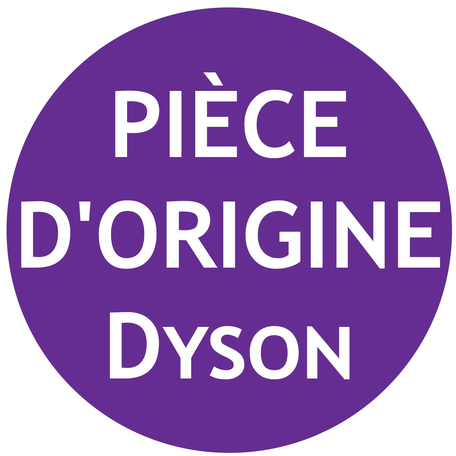 Dyson V10 (SV12) Boîte de rangement 969509-01 Original