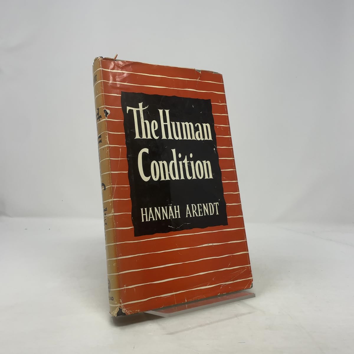 The Human Condition