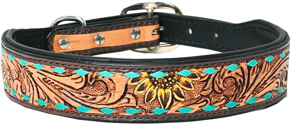 Brown Medium HILASON Strong Genuine Leather Dog Collar Painted