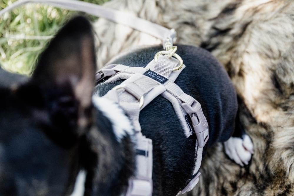Kentucky Dogwear Pettorina per cani di grandi dimensioni (XL, 48-70 cm)|Velluto|Beige |Alta qualità, chiusura semplice, facilmente regolabile, confortevole, elegante | Imbracatura per cani e cuccioli