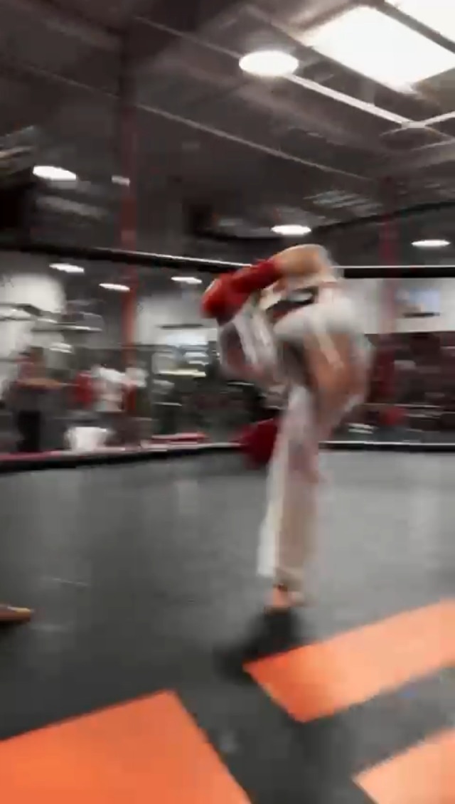 Amazon.com : HIT N MOVE Curved Micro Turtle Boxing Mitts