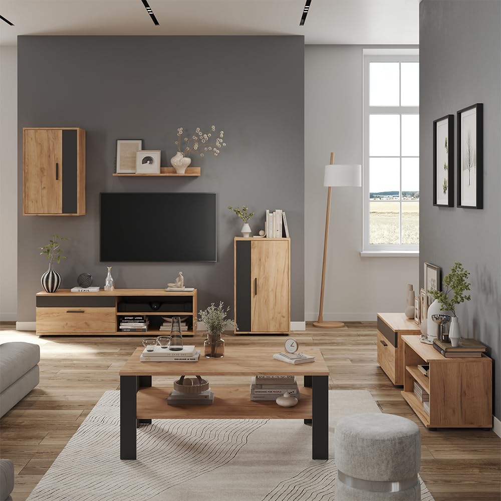 Vicco Parete attrezzata soggiorno Berno, Rovere dorato/Antracite, Set da 6 pezzi