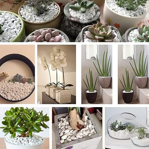 Luvit & Lumoè Weißer Kies für den Garten | QUADRARE MARBER | 1,8 kg | Dekosteine für Topfpflanzen | Bonsai-Steine oder Aquarienkies | Felsen Blumenbeete | Hausdekoration
