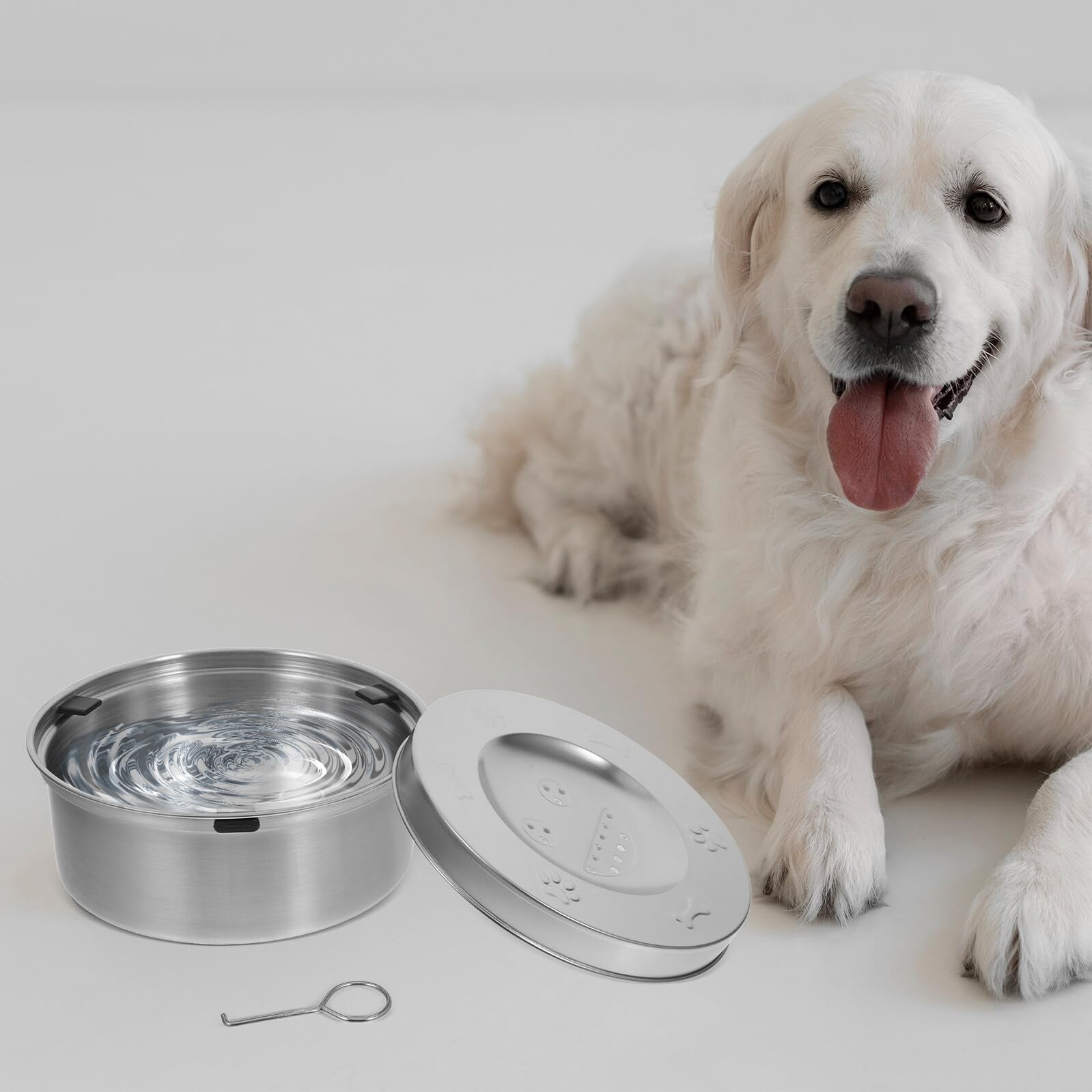 Auslaufsicherer Hunde Wassernapf aus Edelstahl, Silber | Spritzfestes Design für Kontrollierte Wasseraufnahme, Rostbeständige Ausführung, für Hund und Haustier