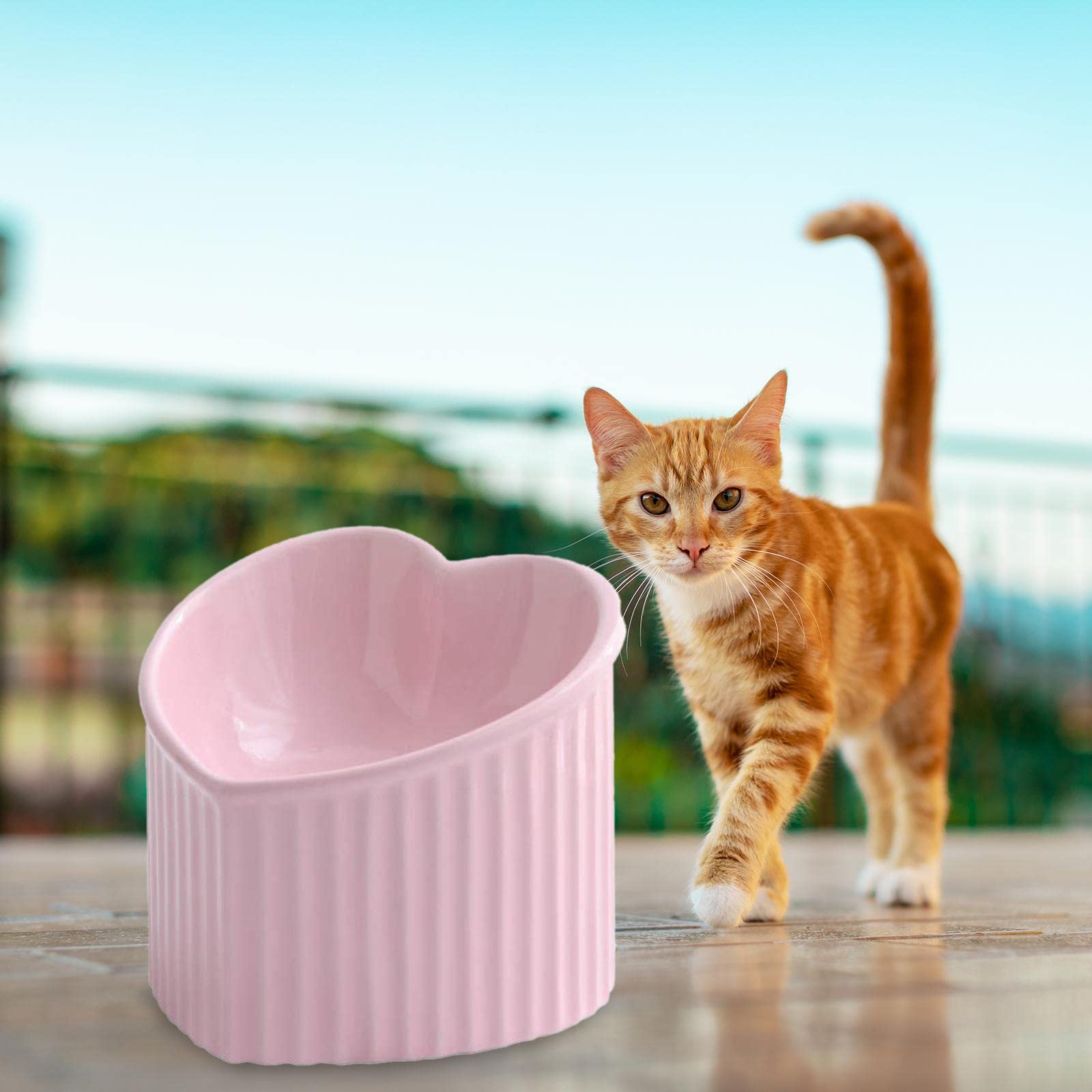 Ciotola Gatto Ciotole Rialzate in Ceramica Inclinata Base Stabile Ciotola Cibo Antiscivolo Design Salvaspazio Facilita Pulizia Adatta per Interni Cani, Rosa