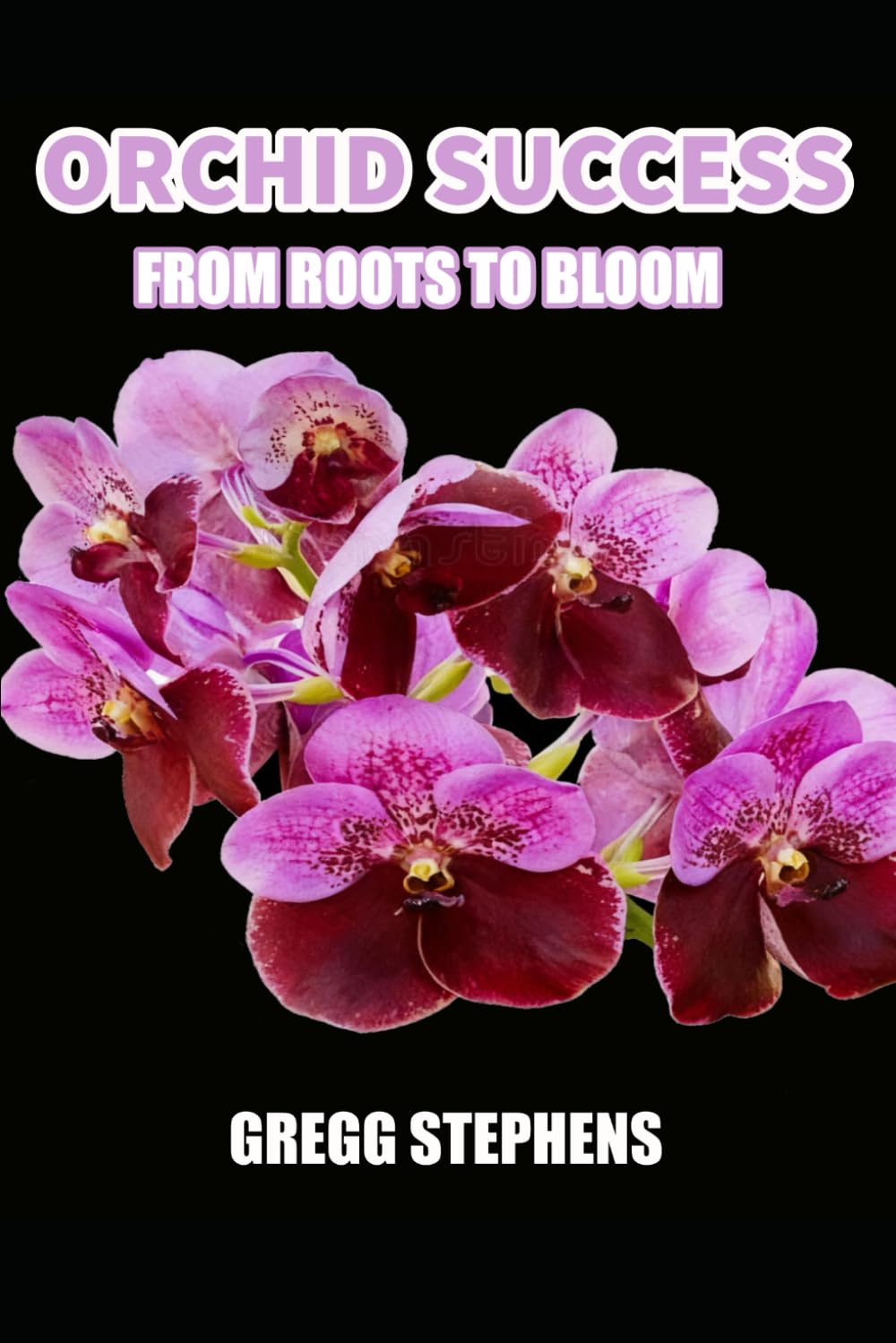 ORCHID SUCCESS: FROM ROOTS TO BLOOM