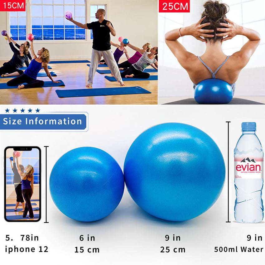 Mini Pilates 6 inch Exercise Ball for Yoga,Small Pilates Core Training and Physical Therapy, Improves Balance Home & Gym & Office with Pump(Purple)