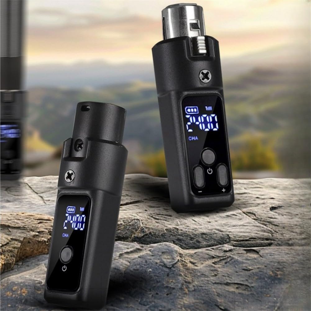 Microfono Wireless XLR per Dinamici 30m Microfono Wireless(2 for Dynamic)