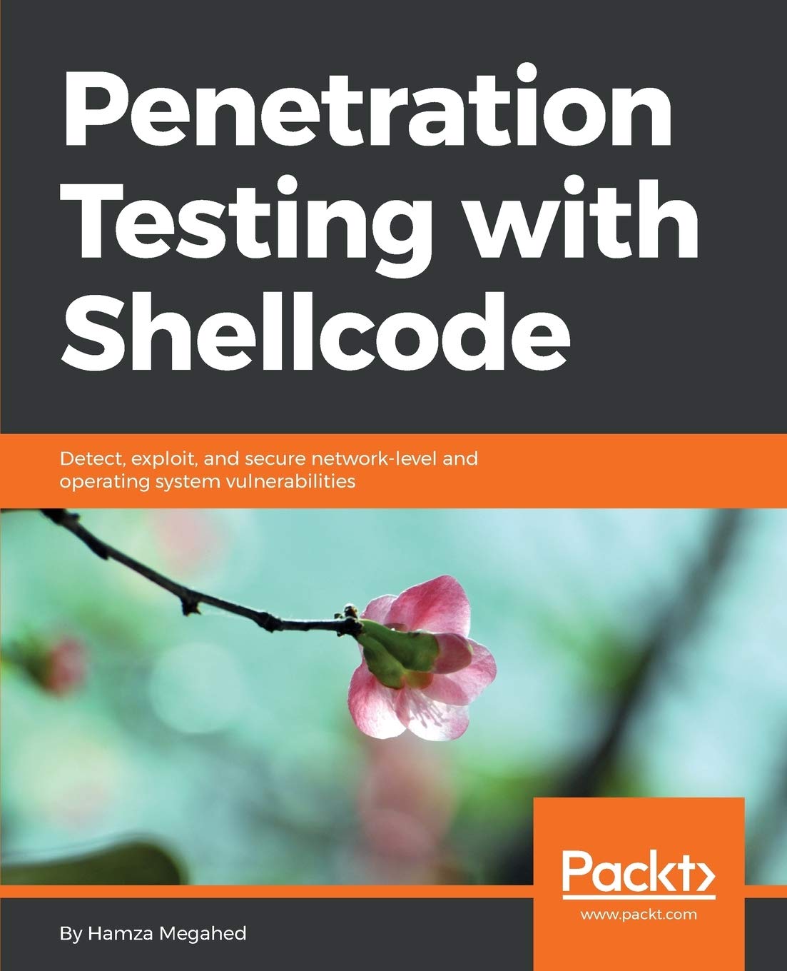 Buy Penetration Testing with Shellcode Online at desertcartINDIA