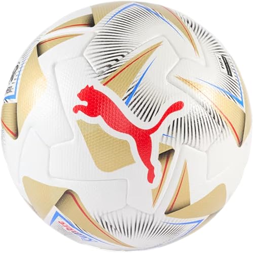 Puma Cumbre CONMEBOL Copa America FIFA - Pelota oficial para partidos de fútbol de alto nivel, talla 5 (PUMA White-PUMA Gold)