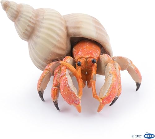 Miniatura 4 de Papo - Figurine Cangrejo Ermitaño Realista - A partir de 3 años - Pintado a mano - Colección Mundo Marino - Idea de regalo para niños y niñas -