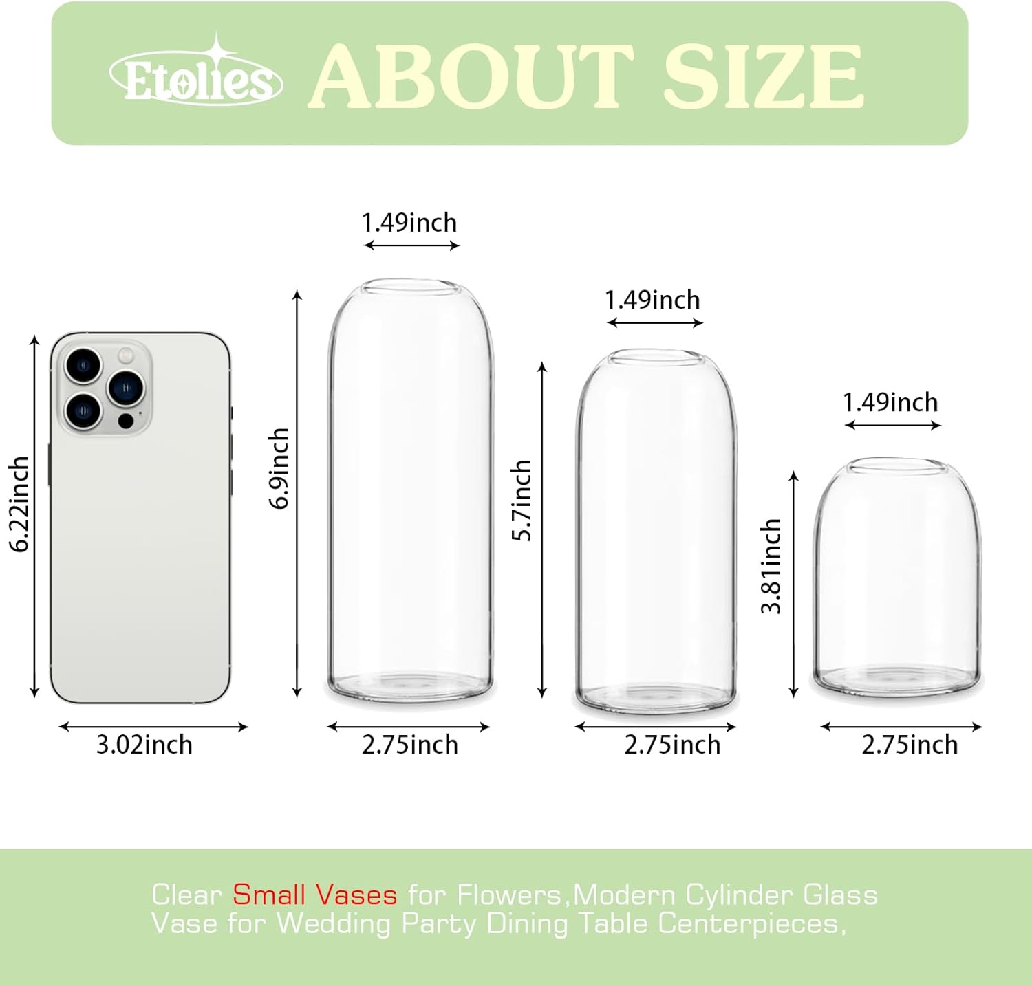 Etolies Glass Bud Vases in Bulk Set of 12, Clear Small Vases for Flowers,Modern Cylinder Glass Vase for Wedding Party Dining Table Centerpieces, Living Room Decorative, Home Decor.