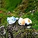 Produktbild DANMEI Mini Cat Micro Landschaft Garten Sukkulenten DIY Decor (6 One Pack)