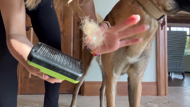 3PCS Self Cleaning Slicker Brush & Pet Grooming Rake & Bath Brush for Dogs,Cats and Horses | Double-Sided Dematting Comb & Skin Friendly Deshedding Grooming Tool | Premium Pet Supplies(Green Black) - image 8