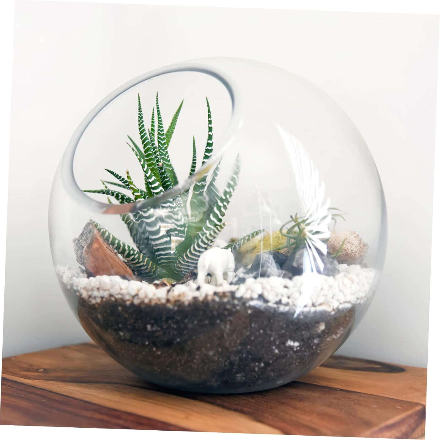 BESPORTBLE 3sets Succulent Jar Glass Terrarium Small Vase for Air Plants Unique Plant Containers for Desk Tabletop Bookshelf 3pcs*3