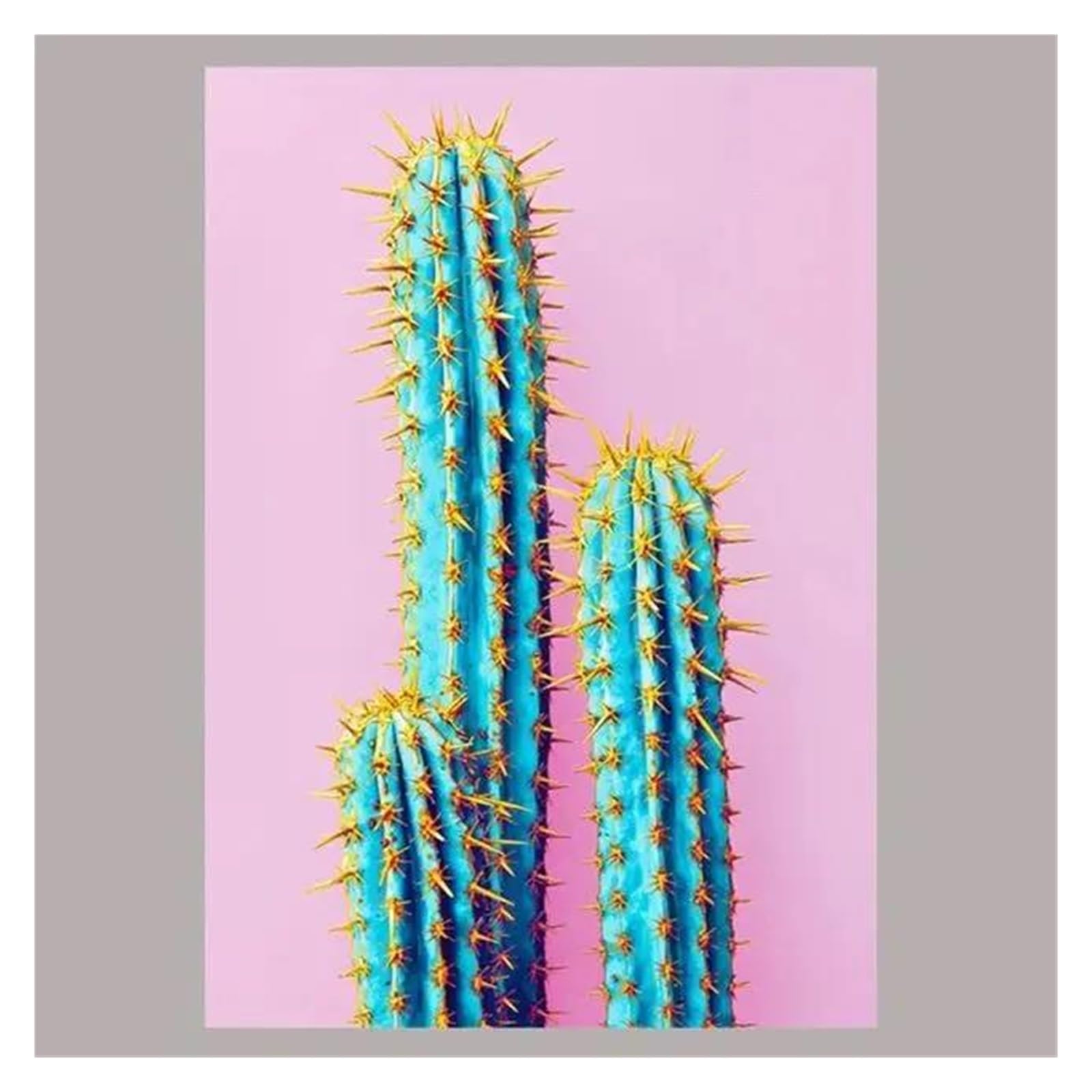 Posters impression HD fruits et cactus : rompez la monotonie de vos murs blancs