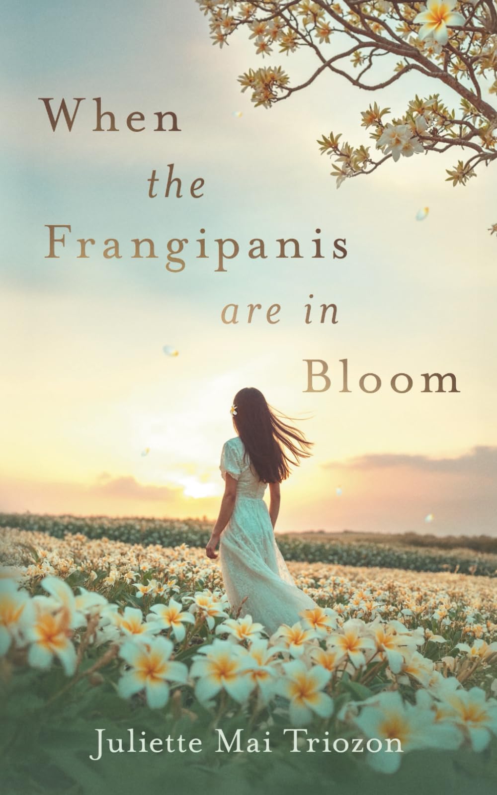 When the Frangipanis are in Bloom