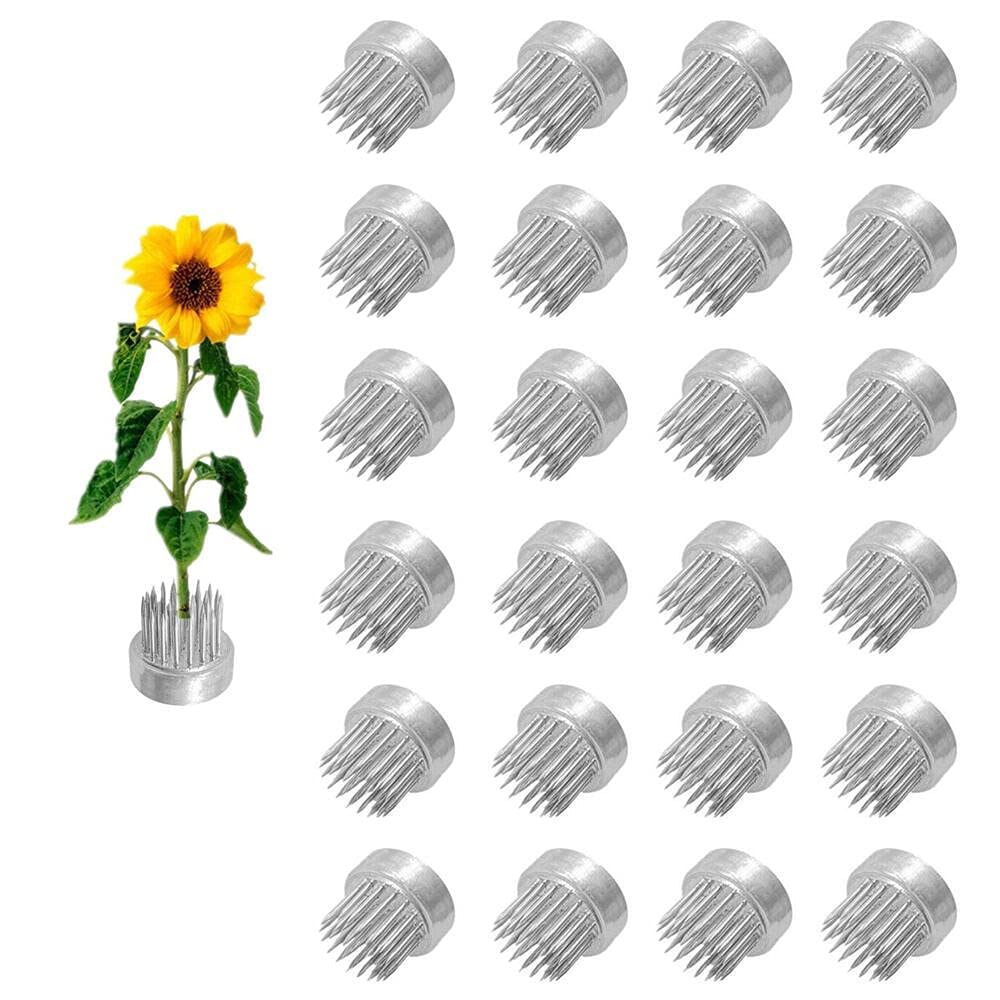Photo 1 of Kenzan Floral Frog 23mm/0.9inch Diameter Ikebana Flower Arranger Holder Stainless Steel Pin for Small Vase (24Pcs)