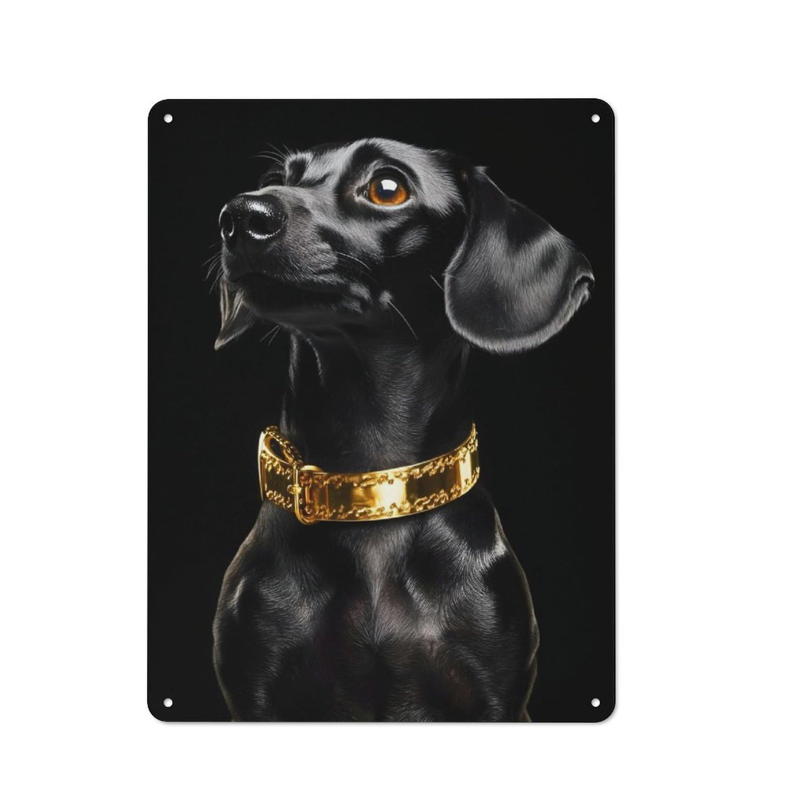 Junmoney Black & Gold Dachshund For Lounge Or Reading Corner, Retro Metal Sign 40X30cm, For Metal Sign Collectors, For Garage And Workshop Walls