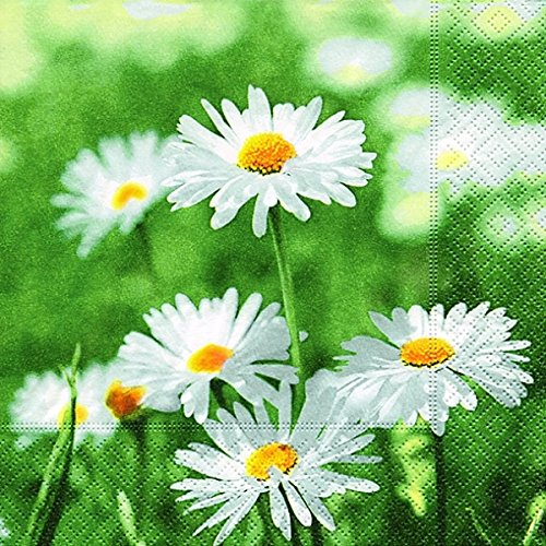 Preisvergleich Produktbild Motivserviette 25x25cm Gänseblumen