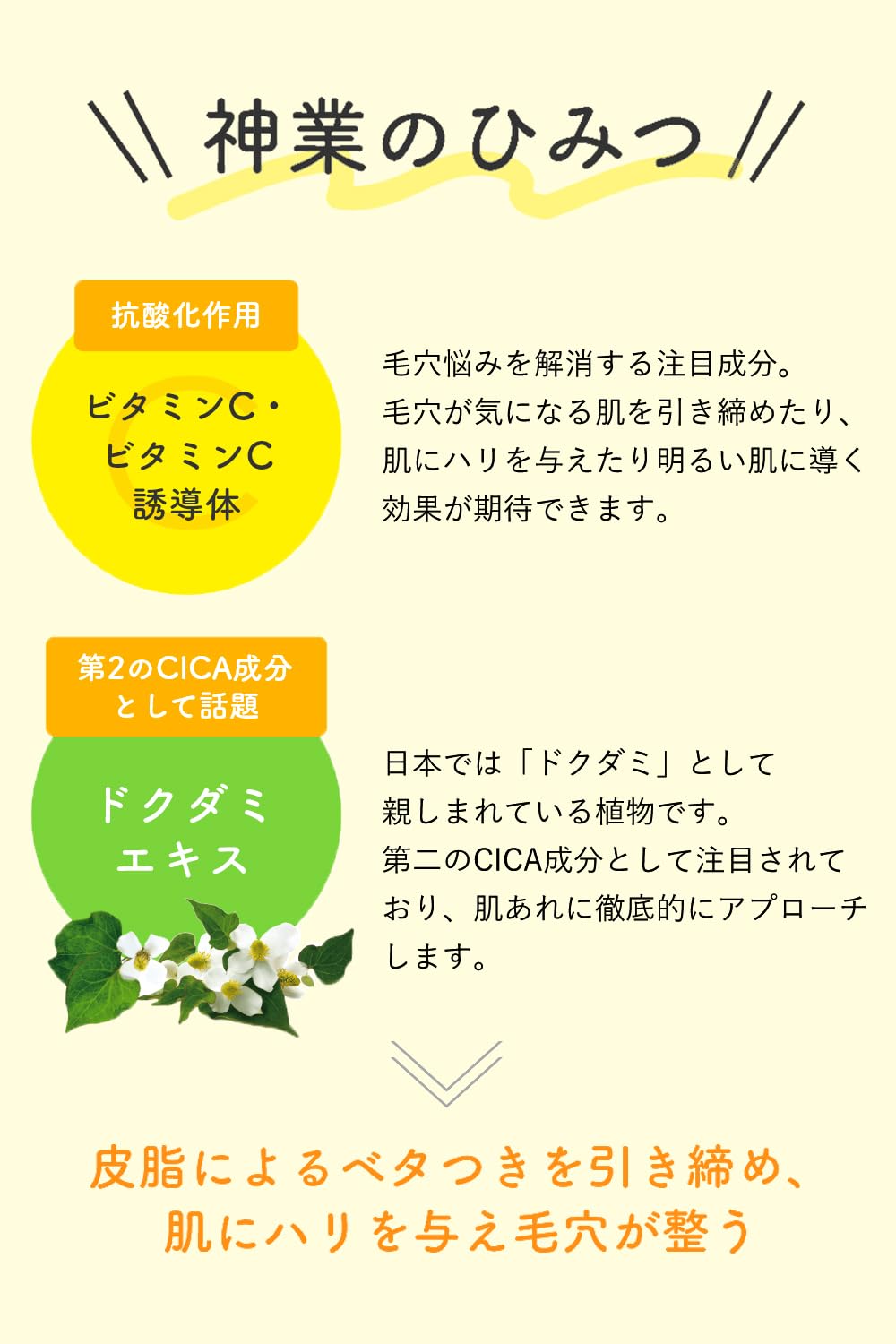 ケアナボーテ 毛穴肌メイクアップフィクサーVCサムネイル4