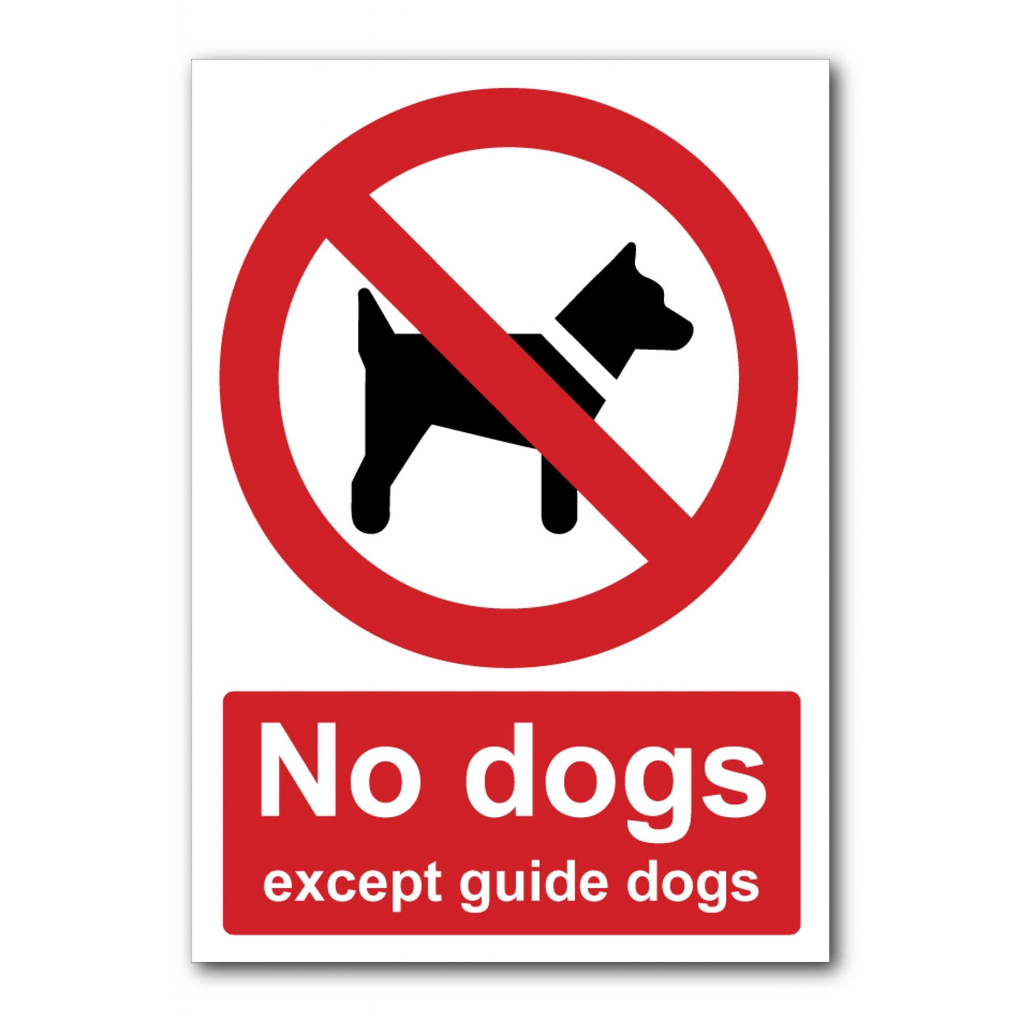 No Dogs Except Guide Dogs Sign, 12x8 Inch Metal Tin Sign, Public Area Regulation Plaque for Offices and Commercial Venues