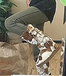 Review Image by Lisa Kerzicnik Lisa Kerzicnik